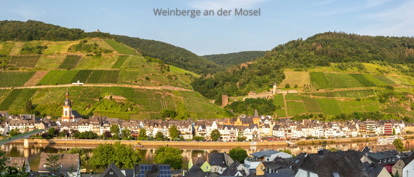 Weinberge an der Mosel