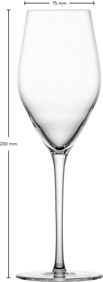 Schaumweinglas | Bar Special - Schott Zwiesel | 300ml (6 Stk)